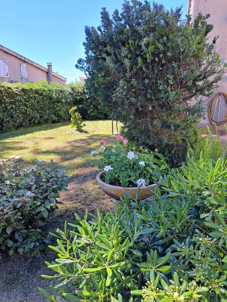 Mini Villa Jardin 50 M Plage Borgo  Exteriör bild