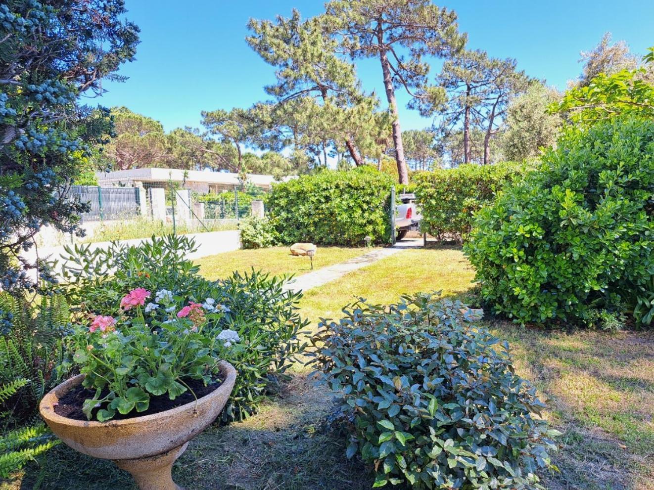 Mini Villa Jardin 50 M Plage Borgo  Exteriör bild